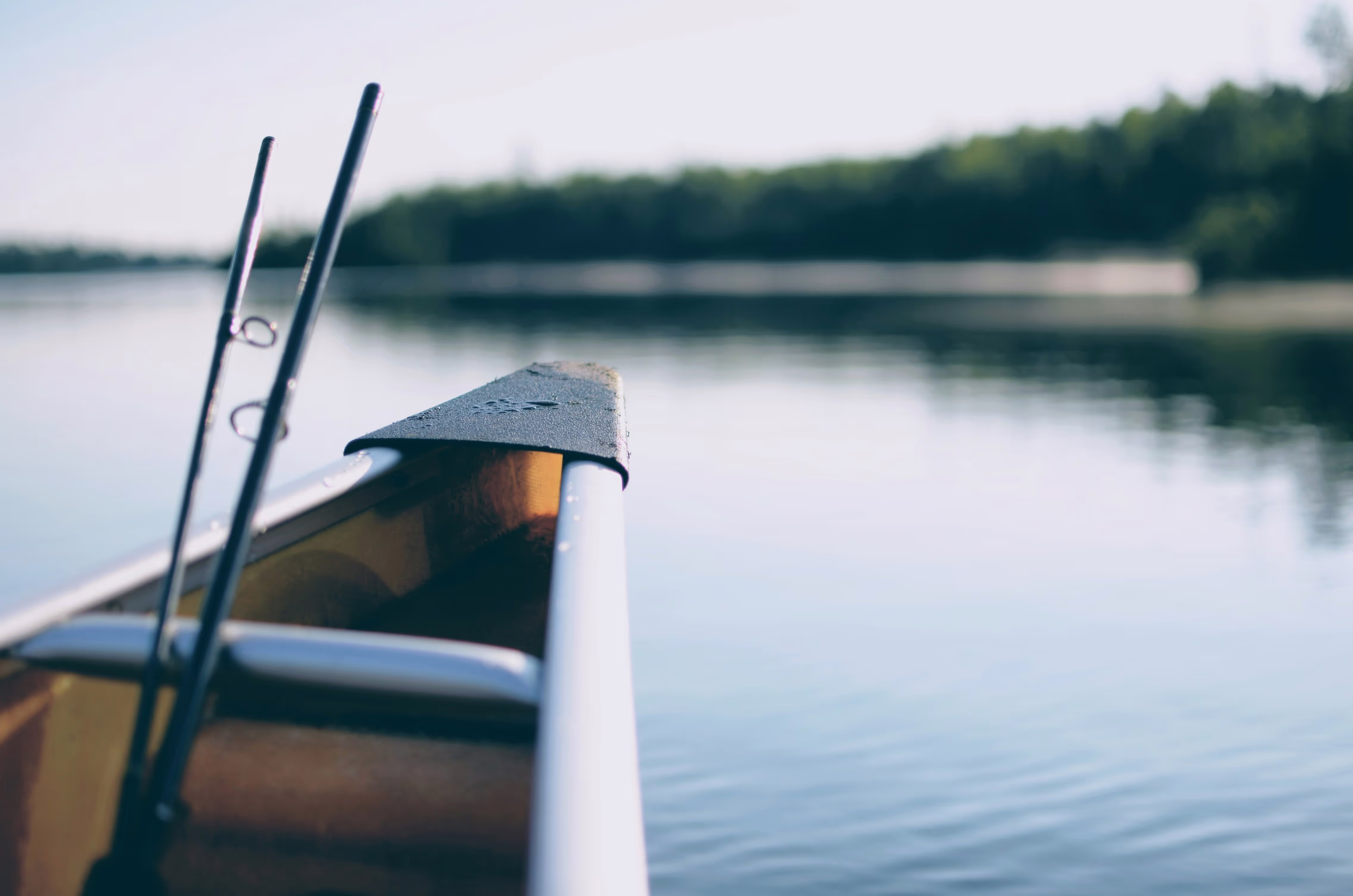 fishing